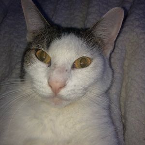 Meet your Posher, Julia